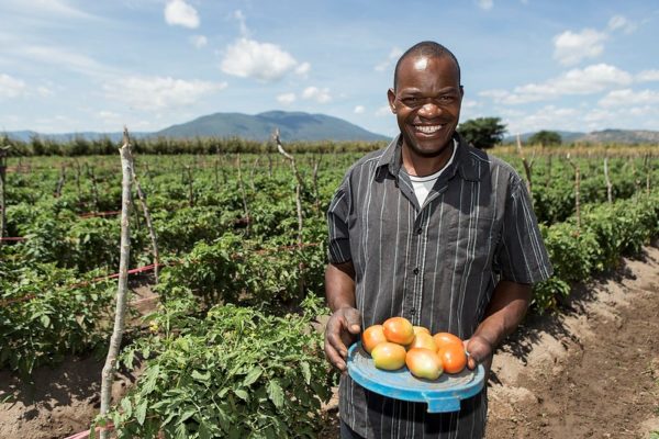 Rural development jobs in tanzania
