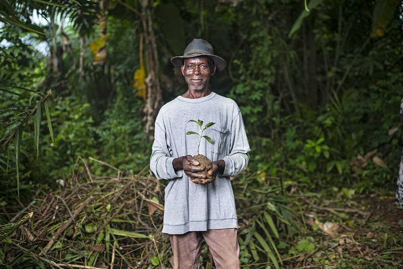 photo of man standing in a wooded area holding a sapling