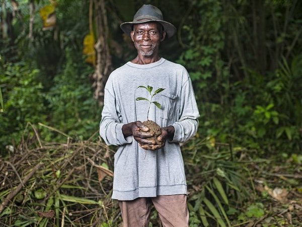 photo of man standing in a wooded area holding a sapling